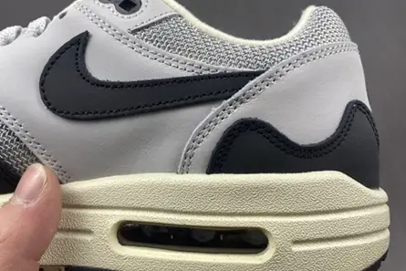 Patta x Nike Air Max 1 DH1348-002 Lightweight 3855 