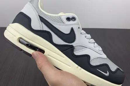 Patta x Nike Air Max 1 DH1348-002 Lightweight 3855 