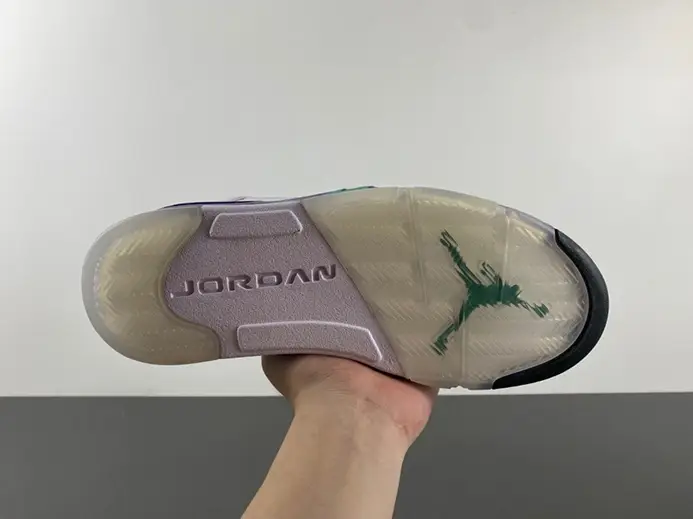 Popular 1877 Jordan 5 Retro Grape  136027-108  ACE256