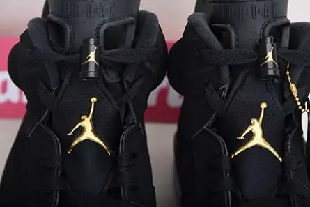 Popular 9730 JORDAN 6 RETRO DMP (2020) - CT4954-007  FAC510