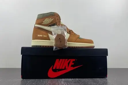 Practical 3817 Gore-Tex Air Jordan 1 High DB2889-100 