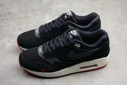 Refined 2900 Nike Air Max 1 Premium 