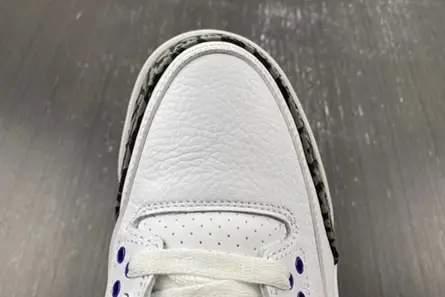 Resilient 8793 Air Jordan 3 “Dark Iris” CT8532-105 