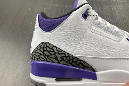 Resilient 8793 Air Jordan 3 “Dark Iris” CT8532-105 