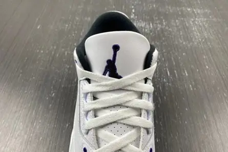 Resilient 8793 Air Jordan 3 “Dark Iris” CT8532-105 