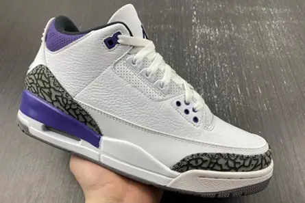Resilient 8793 Air Jordan 3 “Dark Iris” CT8532-105 