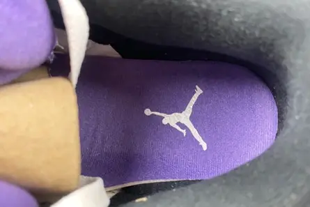 Resilient 8793 Air Jordan 3 “Dark Iris” CT8532-105 