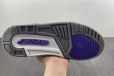 Resilient 8793 Air Jordan 3 “Dark Iris” CT8532-105 