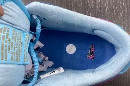 Run The Jewels x Nike SB Dunk Low  DO9404-400 Reliable 5289 