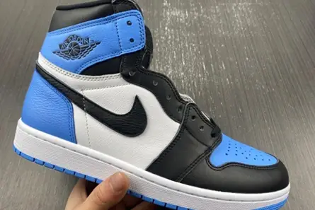 SmartChoice 4232 Air Jordan 1 High DZ5485-400 