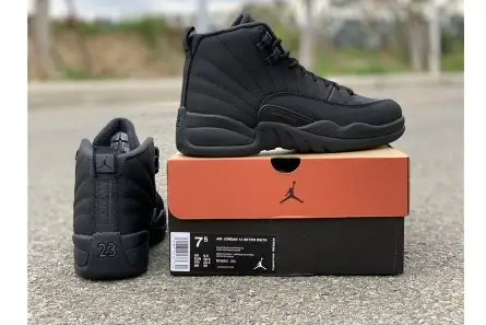SmartChoice 7359 Air Jordan 12 Winterized Black Anthracite BQ6851-001 
