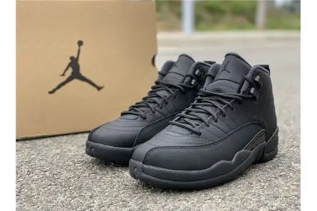 SmartChoice 7359 Air Jordan 12 Winterized Black Anthracite BQ6851-001 