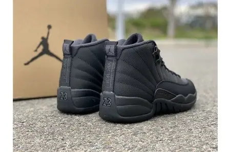 SmartChoice 7359 Air Jordan 12 Winterized Black Anthracite BQ6851-001 