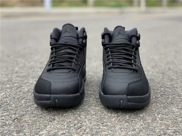 SmartChoice 7359 Air Jordan 12 Winterized Black Anthracite BQ6851-001  DCBDC536