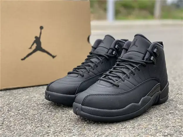 SmartChoice 7359 Air Jordan 12 Winterized Black Anthracite BQ6851-001  DCBDC536