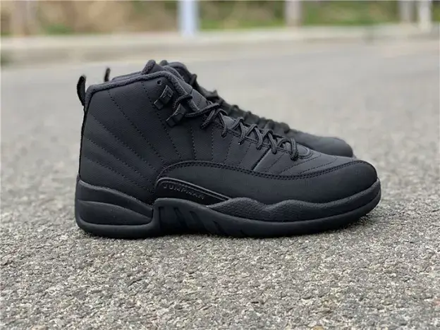 SmartChoice 7359 Air Jordan 12 Winterized Black Anthracite BQ6851-001 