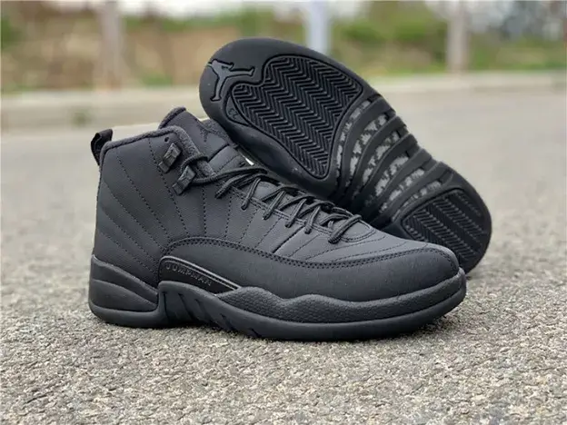 SmartChoice 7359 Air Jordan 12 Winterized Black Anthracite BQ6851-001 