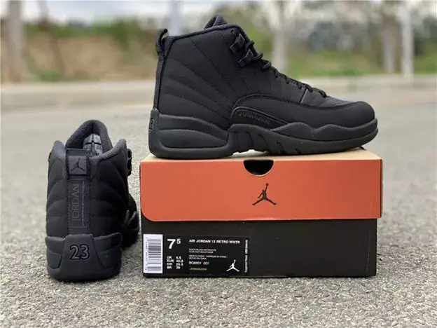SmartChoice 7359 Air Jordan 12 Winterized Black Anthracite BQ6851-001 