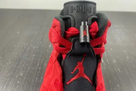 Soft 6010 Jordan 6 Retro CT8529-600 