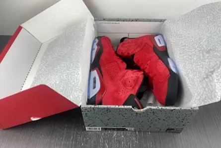 Soft 6010 Jordan 6 Retro CT8529-600 