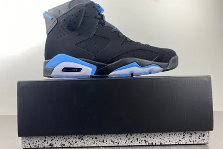 Sophisticated 432 Jordan 6 Retro UNC 384664 006 