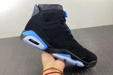 Sophisticated 432 Jordan 6 Retro UNC 384664 006 