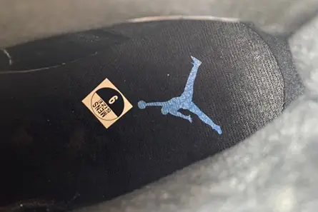 Sophisticated 432 Jordan 6 Retro UNC 384664 006 