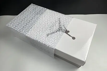 Stylish 6335 Air Jordan 3 x A Ma Maniere DH3434-110 