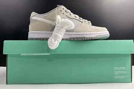 【TOM】Nike Dunk SB L TRD AR0778-110 SportInspired 9161 