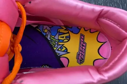 The Powerpuff Girls x Nike SB Dunk Low “Blossom” FD2631-600 Classic 5837 