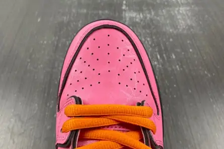 The Powerpuff Girls x Nike SB Dunk Low “Blossom” FD2631-600 Classic 5837 