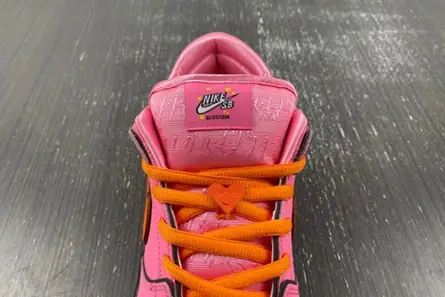 The Powerpuff Girls x Nike SB Dunk Low “Blossom” FD2631-600 Classic 5837 