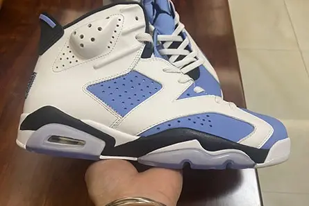 Timeless 1028 Jordan 6 Retro UNC White CT8529-410 