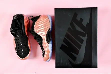 TopPick 613 NIKE AIR FOAMPOSITE ONE "RUST PINK" white  black 314966-602 