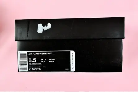 TopPick 613 NIKE AIR FOAMPOSITE ONE "RUST PINK" white  black 314966-602 