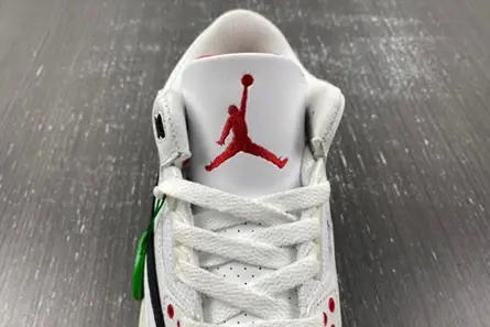 Travis Scott x Air Jordan 3 CK9246-188 DailyWear 6956 