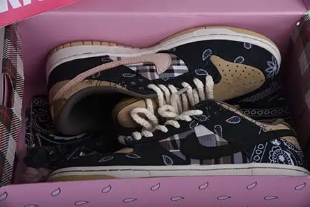 Travis Scott x Nike SB Dunk Low TS CT5053-001 Fashionable 720 