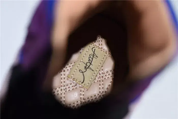 Trendy 5854 Aleali May Air Jordan 1 Viotech Fur Tongues BV2613-600 