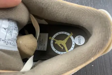 Versatile 9353 Air Jordan 3 “Palomino” CT8532-102 