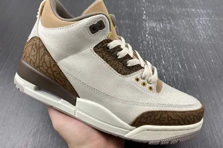 Versatile 9353 Air Jordan 3 “Palomino” CT8532-102 