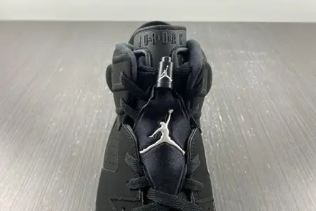 WellDesigned 270 Jordan 6 Retro Metallic Silver DX2836-001 