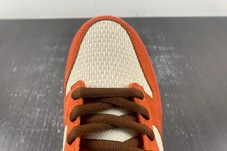 WellDesigned 6607 Nike SB Dunk Low Top Ramen  313170-101 